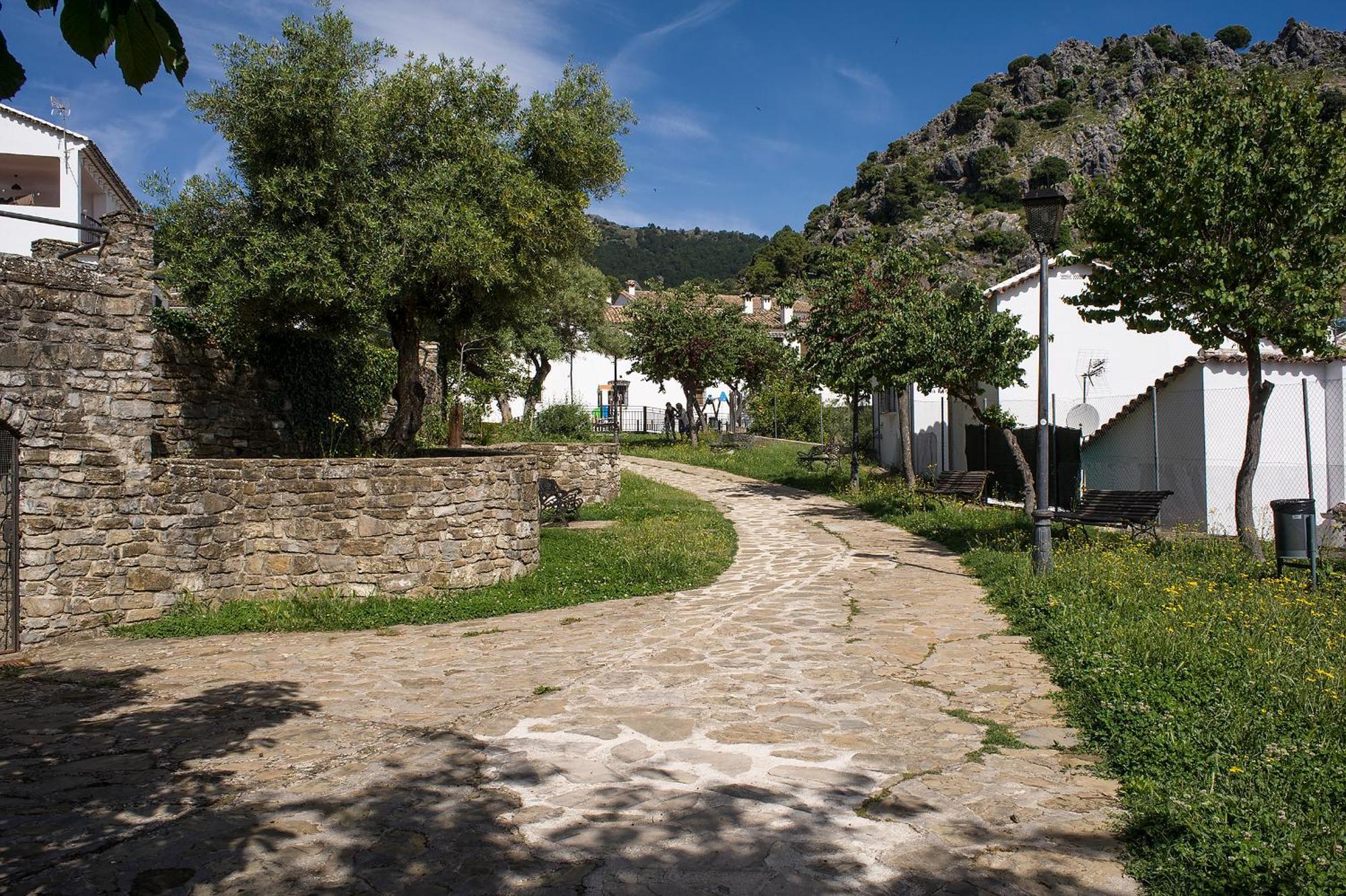 Casa Rural La Callejita Grazalema Extérieur photo